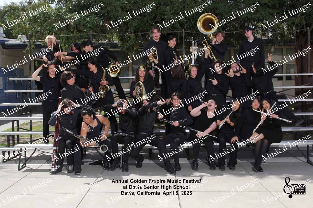 Musical Images